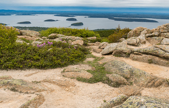 Learn About The Many Things You Can Do While Visiting Bar Harbor bar harbor maine
